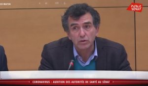 Coronavirus : audition sur les risques et les mesures des pouvoirs publics - Les matins du Sénat (26/02/2020)