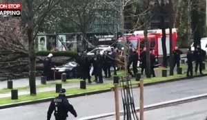 Un automobiliste meurt écrasé par un arbre devant le musée du Quai Branly (vidéo)