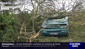 Tempête Léon: en Gironde, une tornade fait des dégâts mais ne blesse personne