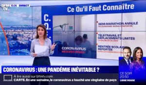 Coronavirus: une pandémie inévitable ? (3) - 02/03