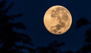 La « pleine lune du ver », première « super lune » de l'année, aura lieu le 9 mars marquant ainsi l'arrivée du printemps