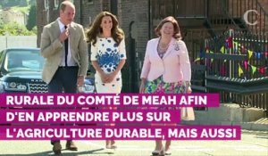 Kate Middleton élégante lors de son voyage en Irlande dans une robe vintage