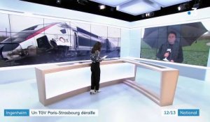 Bas-Rhin : les 350 passagers du train accidenté en cours d'évacuation