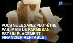 Le parmesan, un placement financier original mais rentable