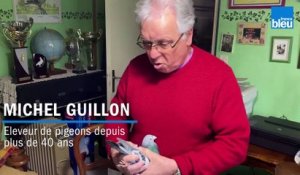 Michel Guillon présente son pigeon champion de France