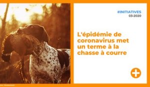 L'épidémie de coronavirus met un terme à la chasse à courre