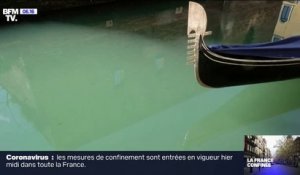 L'eau des canaux de Venise retrouve sa clarté en raison du confinement et de l'absence de touristes
