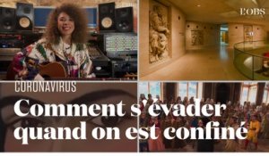 Expos, opéra, cinéma, concerts... Comment se cultiver gratuitement pendant le confinement ?