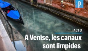 Confinement :  les eaux de Venise redeviennent transparentes