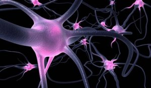 Le covid-19 pourrait affecter le système nerveux central