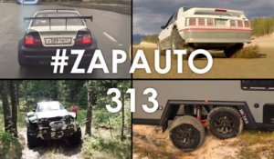 #ZapAuto 313