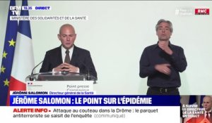 Jérôme Salomon: "28.143 personnes sont hospitalisées et 6838 patients sont en réanimation"