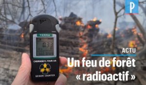 Tchernobyl : un incendie ravive la radioactivité près de la centrale nucléaire