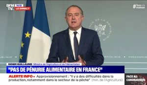 Didier Guillaume (ministre de l'Agriculture) : "240.000 personnes se sont inscrites sur la plateforme" pour aider les exploitations agricoles