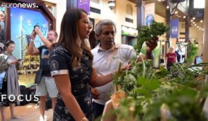 Aux Emirats Arabes Unis, le développement d'une alimentation durable fait son chemin