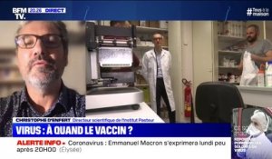 Coronavirus: "Si le vaccin testé est protecteur on peut imaginer lancer des campagnes de vaccination d'ici l'été 2021", estime le directeur scientifique de l'institut Pasteur