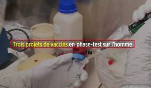 Coronavirus : trois projets de vaccins en phase-test sur l'homme