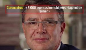 Coronavirus : « 3 000 agences immobilières risquent de fermer »