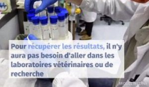 Coronavirus : pourra-t-on vraiment faire 500.000 tests virologiques dès la mi-mai ?