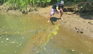 Il appelle son crocodile pour le nourrir à la main. Animal impressionnant