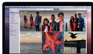 Comment voir et accéder à vos photos sur iCloud - Apple Support
