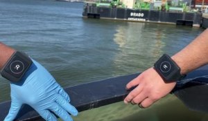 Coronavirus: le port d'Anvers teste un bracelet intelligent, Rombit, qui régule la distanciation sociale