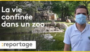 Au zoo de La Palmyre, les animaux aussi subissent le confinement