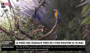 Tourisme : le parc des oiseaux de Villars-les-Dombes va rouvrir ses portes