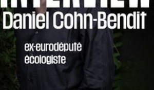 Daniel Cohn-Bendit sur la Cour de Karlsruhe