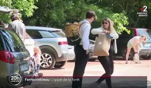 Déconfinement : la foule de retour à la forêt de Fontainebleau