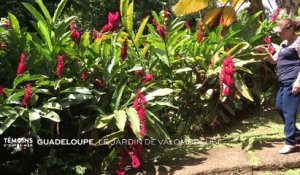 Guadeloupe : Le jardin de Valombreuse