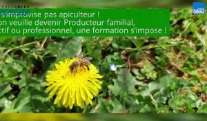 Comment accueillir les abeilles chez soi - Conseils d'un apiculteur / happyculteur