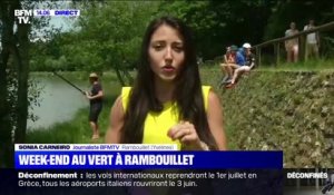 Un week-end au vert à Rambouillet