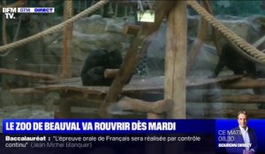 Le zoo de Beauval ouvrira à nouveau ses portes dès le 2 juin