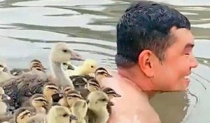 La vidéo de ce fermier nageant avec des oisons sur son dos est devenue virale