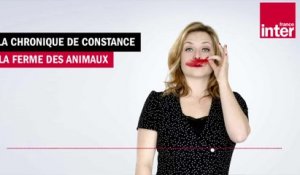 La ferme des animaux - La chronique de Constance