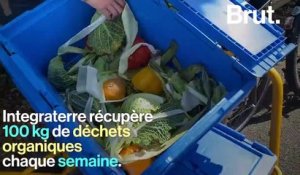 "Cette crise nous a montré l'importance de relocaliser notre alimentation" : dans les coulisses d'une ferme urbaine dans les Yvelines