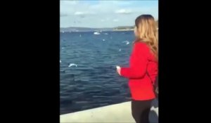 Elle nourrit les oiseaux en leur jetant... son smartphone. Oups...