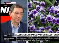 La quasi-totalité du territoire français placée en alerte rouge, en risque « très élevé » d'allergie liée au pollen - L'allergologue Pascal Bousiquier dans "Morandini Live" sur CNews