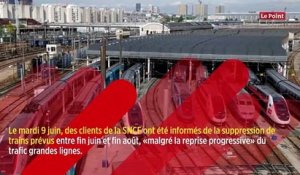 Pourquoi la SNCF a supprimé des trains pour cet été