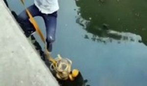Sauvetage d'un chat tombé dans un canal