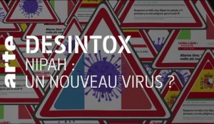 Virus Nipah : le nouveau Covid ? | 23/06/2020 | Désintox | ARTE
