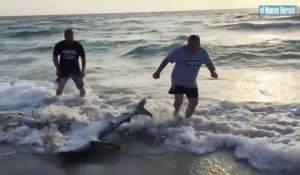 2 touristes viennent en aide à un requin échoué sur une plage