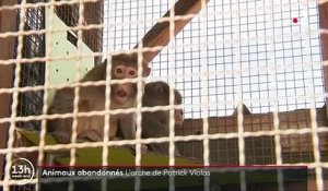 Eure-et-Loir : un nouveau refuge pour les animaux abandonnés