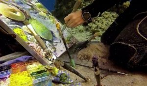 Peinture sous l'eau : elle peint une toile en plongée sous-marine !