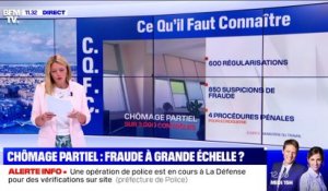 Chômage partiel: fraude à grande échelle ? - 30/06