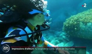Impressions d’ailleurs : Au large de la Corse, un air de Seychelles