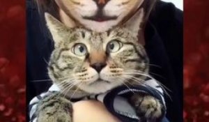 Réactions de chats voyant leur maitre derrière un filtre chat... tellement drôle