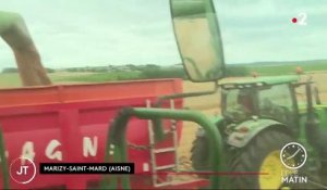 Agriculture : les rendements en baisse dans l’Aisne