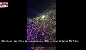 Coronavirus : des milliers de spectateurs rassemblés devant un concert de The Avener (vidéo)